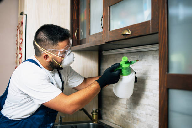Best Best Pest Control Companies  in Karnes City, TX
