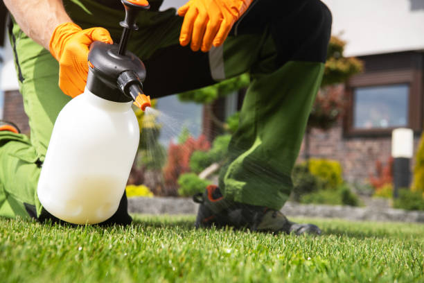 Best Mosquito Control Services  in Karnes City, TX