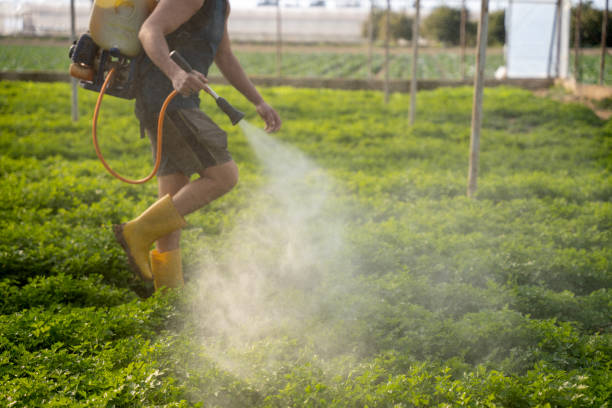 Best Exterminator Services  in Karnes City, TX