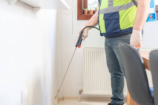 Wasp Removal Services in Karnes City, TX